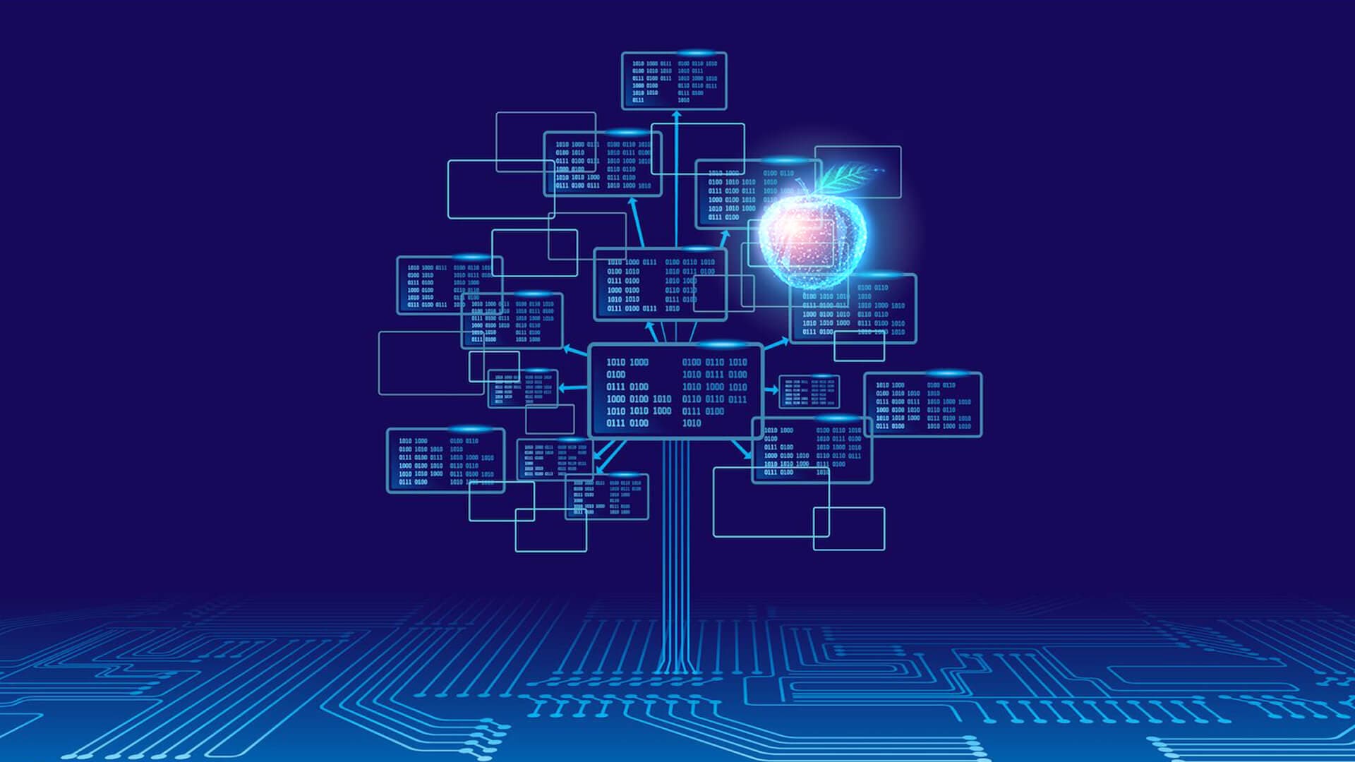IT-инфраструктура для ресторанов